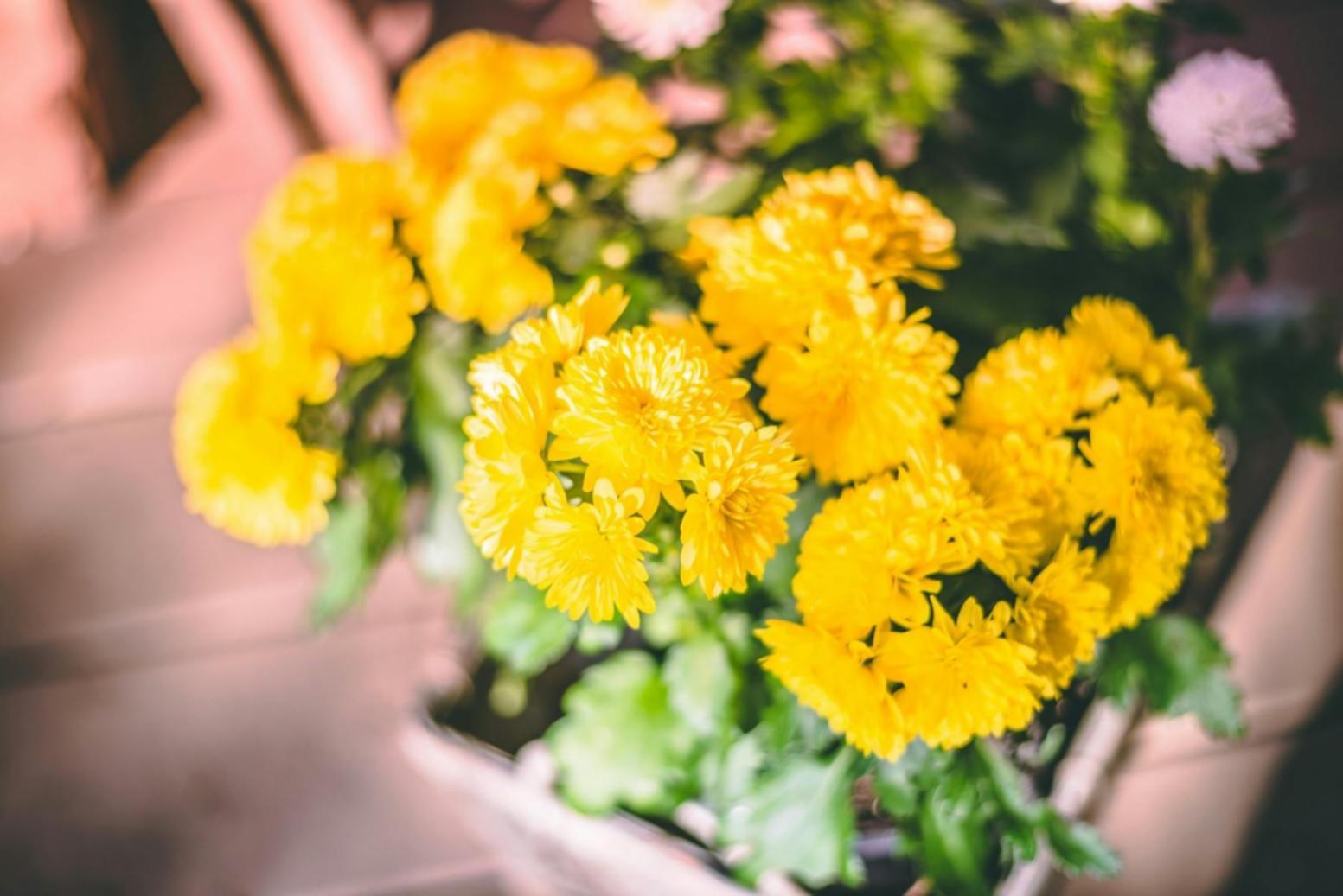 Elegant floral arrangement demonstration